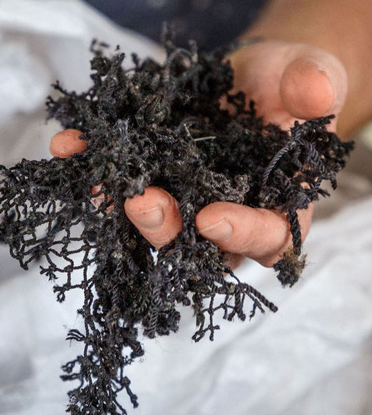 Card Collection NetPlus